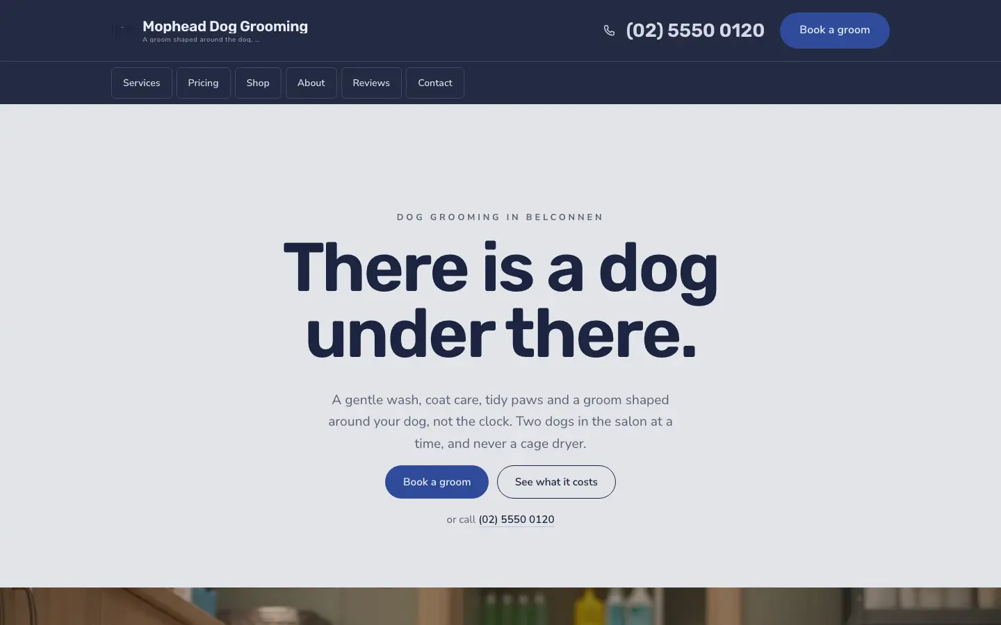 Mophead Dog Grooming website, home page, desktop