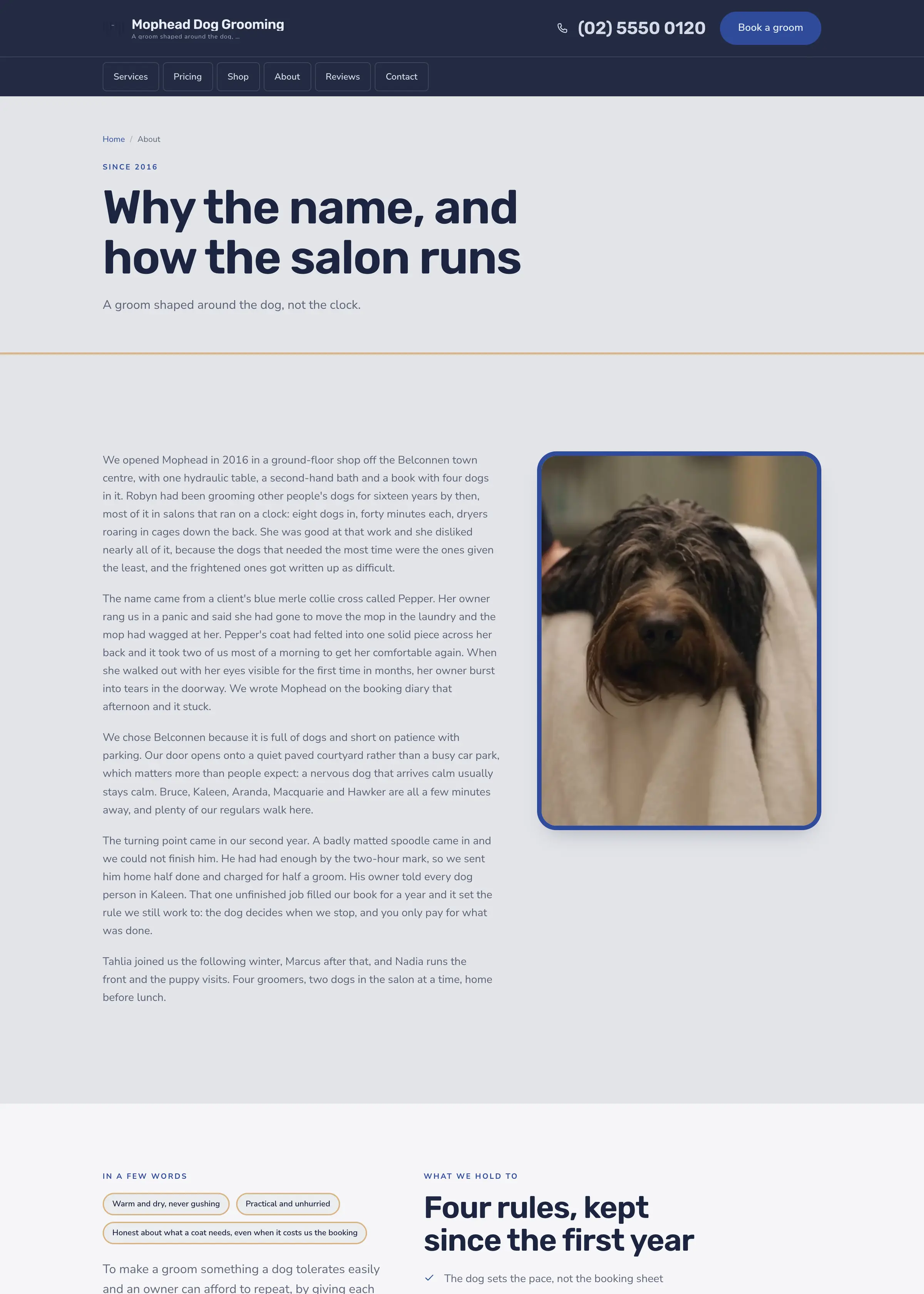 Mophead Dog Grooming website, an inner page, desktop