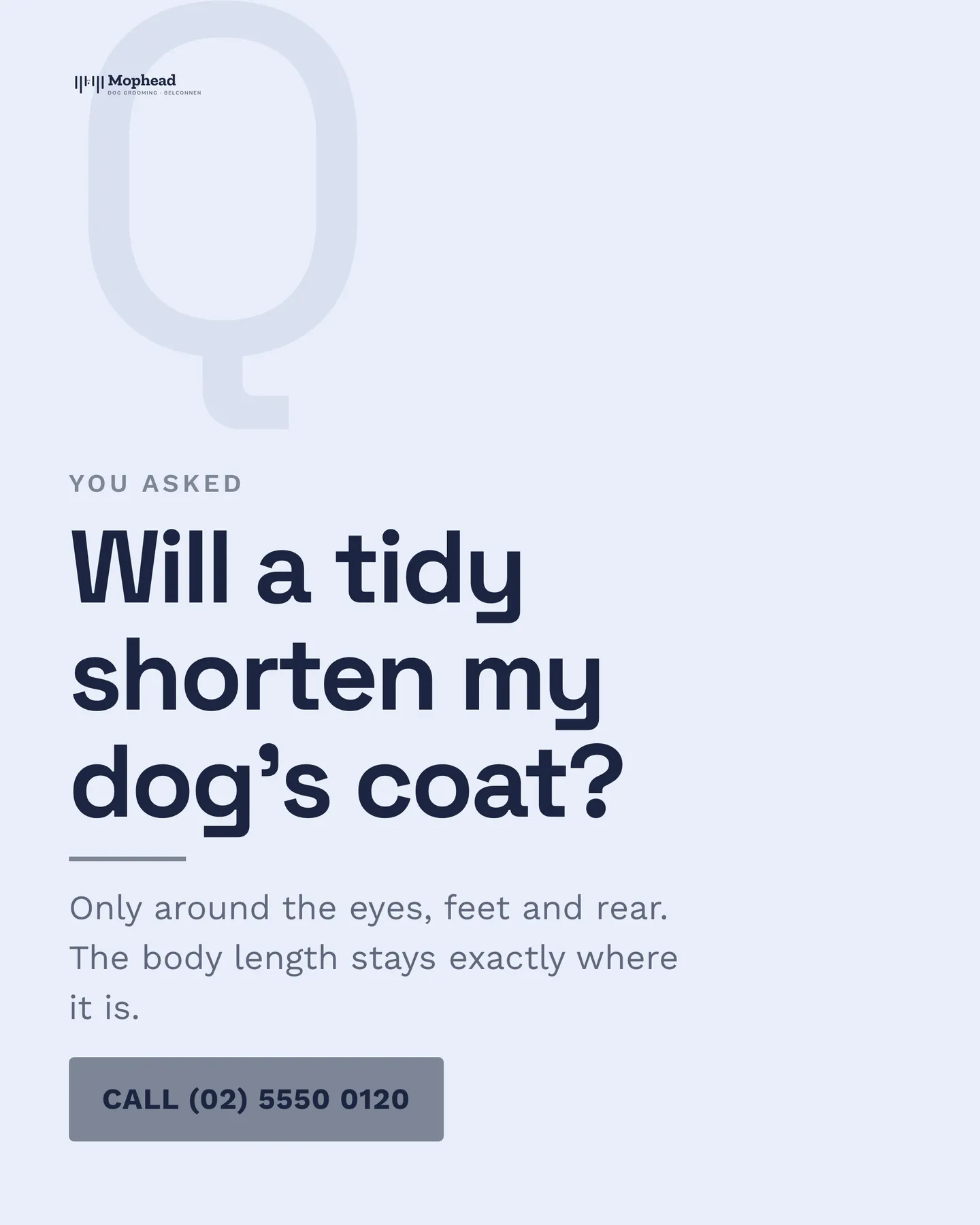 Mophead Dog Grooming social post: Will a tidy shorten my dog's coat? Only around the eyes, feet and rear. The body length stays exactly where it is. Mophead Dog Grooming is a…