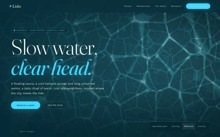 Fluid website template preview: Lido