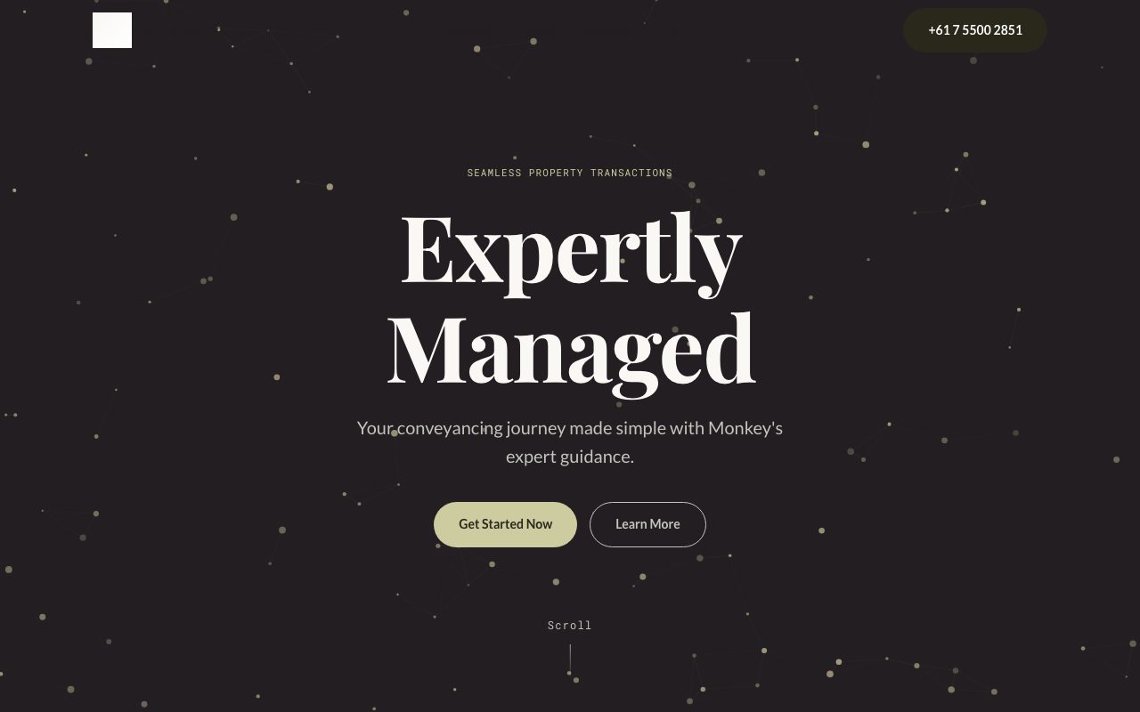 Professional Services template preview