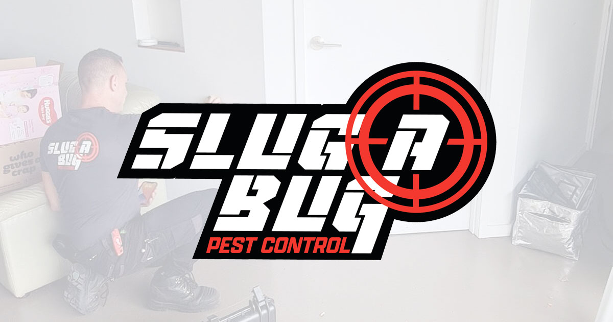Pest control technician in action